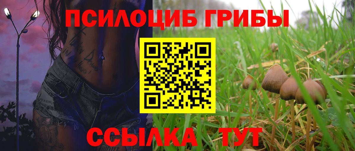 Псилоцибиновые грибы MAGIC MUSHROOMS  магазин продажи   Калач-на-Дону  Вход с VPN 