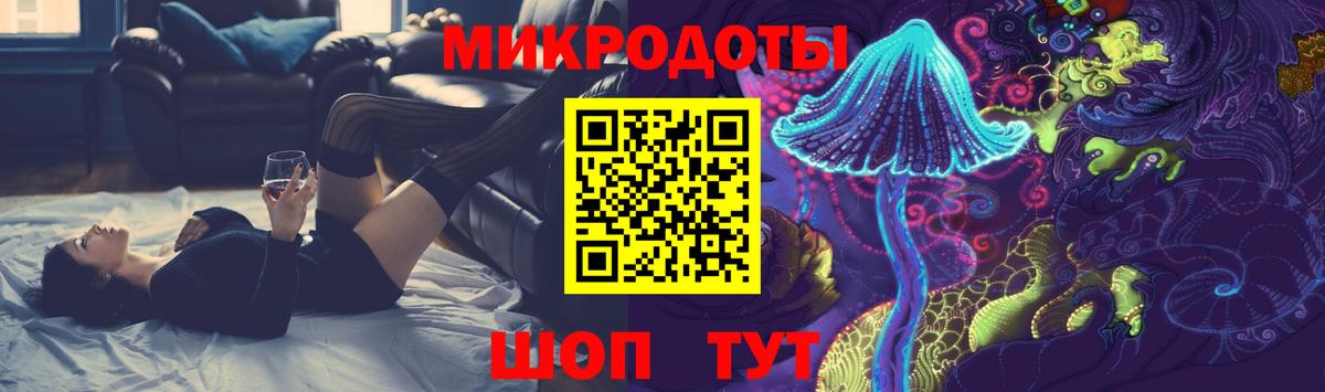 Галлюциногенные грибы Psilocybe Калач-на-Дону